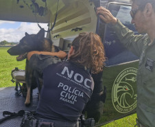 PCPR treina cães farejadores em aeronaves para operações emergência