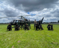 PCPR treina cães farejadores em aeronaves para operações emergência