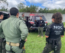 PCPR treina cães farejadores em aeronaves para operações emergência