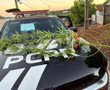PCPR e PMPR cumpre 18 mandados judiciais em operação em Santo Antônio do Sudoeste