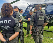 PCPR treina cães farejadores em aeronaves para operações emergência