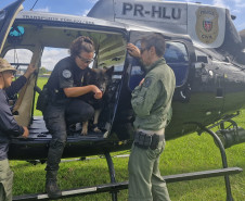 PCPR treina cães farejadores em aeronaves para operações emergência 