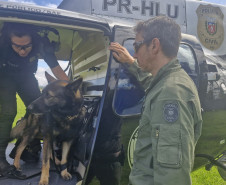 PCPR treina cães farejadores em aeronaves para operações emergência 