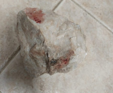 PCPR prende homem em flagrante por maus-tratos a animais na Capital