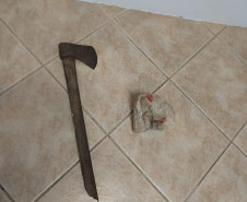 PCPR prende homem em flagrante por maus-tratos a animais na Capital