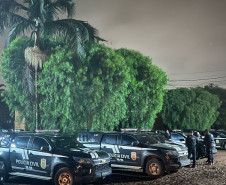 PCPR e PMPR prendem 12 pessoas durante megaoperação no Sudoeste 