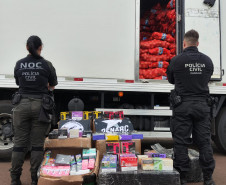 PCPR prende casal em flagrante e apreende 23 quilos de maconha em Céu Azul 