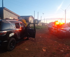 PCPR prende 12 pessoas durante operação em combate ao tráfico de drogas em Guarapuava 
