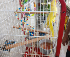 PCPR prende homem em flagrante por maus-tratos a animais na Capital