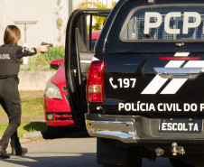 PCPR prende homem em flagrante por maus-tratos a animais na Capital