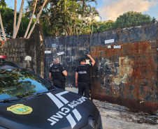 PCPR prende 29 pessoas em megaoperação contra grupo suspeito de desviar R$ 3 milhões de prefeituras do Paraná