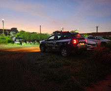 PCPR prende 29 pessoas em megaoperação contra grupo suspeito de desviar R$ 3 milhões de prefeituras do Paraná