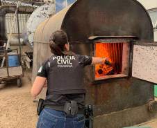 PCPR incinera mais de 1,3 mil quilos de drogas em Piraquara