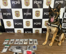 PCPR prende mãe e apreende filho em flagrante por tráfico de drogas em Francisco Beltrão 