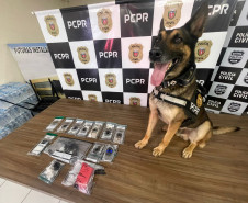 PCPR prende mãe e apreende filho em flagrante por tráfico de drogas em Francisco Beltrão 