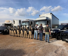 PCPR e PMPR prendem cinco pessoas durante ação contra desmanche de caminhão em Cianorte 