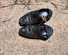 PCPR prende homem investigado por homicídio e tentativa de ocultação de cadáver em Colombo