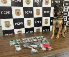 PCPR prende mãe e apreende filho em flagrante por tráfico de drogas em Francisco Beltrão 