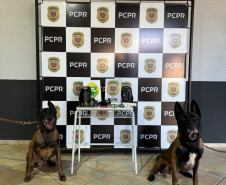 PCPR e PMPR prendem dois homens em flagrante durante operação em Pérola