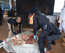 PCPR incinera 785 quilos de drogas em Francisco Beltrão