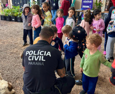 PCPR na Comunidade realiza mais de 3,3 mil atendimentos em Foz do Iguaçu e Pérola 