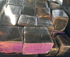 PCPR incinera mais de 1,6 tonelada de drogas em Arapongas