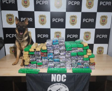 PCPR destaca ações de combate e prevenção às drogas durante o Junho Branco