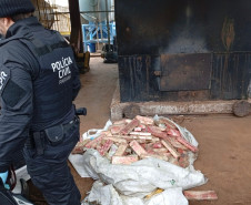 PCPR incinera 785 quilos de drogas em Francisco Beltrão