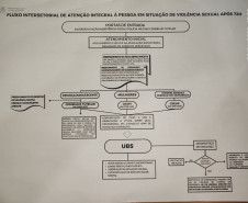 PCPR participa de fluxo intersetorial de atendimento às pessoas em situação de violência sexual em Campo Mourão 