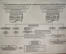 PCPR participa de fluxo intersetorial de atendimento às pessoas em situação de violência sexual em Campo Mourão 