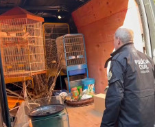 PCPR prende 16 e resgata 1 mil animais em operação contra tráfico internacional de espécies