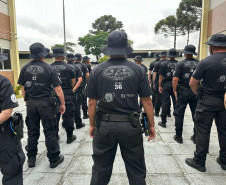PCPR inicia primeira edição do Curso de Operações Policiais com Cães