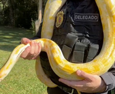 PCPR prende 16 e resgata 1 mil animais em operação contra tráfico internacional de espécies