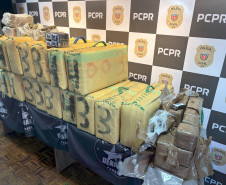 PCPR realiza maior apreensão de haxixe da história do Paraná