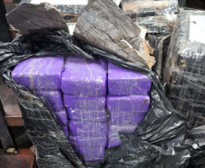 PCPR prende homem por tráfico de drogas e apreende mais de 150 quilos de maconha em São Luiz do Purunã