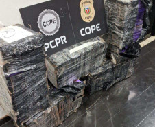 PCPR prende homem por tráfico de drogas e apreende mais de 150 quilos de maconha em São Luiz do Purunã