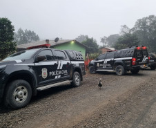 PCPR prende dois homens suspeitos de furto qualificado em Rebouças 