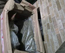 PCPR apreende 327 quilos de maconha gourmet e prende três pessoas por tráfico