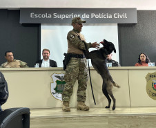 PCPR forma sete condutores em Curso de Operações Policiais com Cães