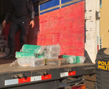 PCPR incinera 10 toneladas de drogas apreendidas em Cascavel e região 