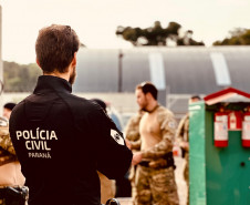 PCPR incinera 10 toneladas de drogas apreendidas em Cascavel e região 
