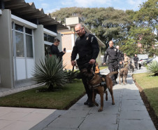 PCPR forma sete condutores em Curso de Operações Policiais com Cães