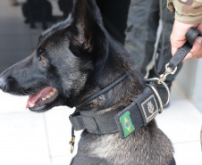 PCPR forma sete condutores em Curso de Operações Policiais com Cães