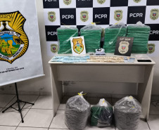 PCPR e GCM prendem 23 pessoas e apreendem mais de 85 quilos de drogas em Ponta Grossa