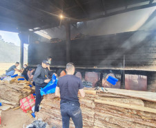 PCPR incinera cerca de 3,5 toneladas de drogas em São José dos Pinhais 