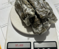 PCPR prende oito pessoas em operação contra o tráfico de drogas no Norte do Paraná