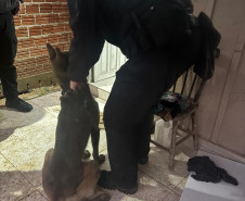 PCPR prende três pessoas vinculadas a um homicídio e tráficos de drogas em Mandirituba