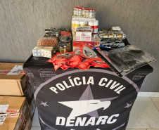 PCPR prende homem em flagrante por posse ilegal de arma e apreende drogas enviadas por comércio eletrônico em Foz do Iguaçu