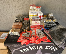 PCPR prende homem em flagrante por posse ilegal de arma e apreende drogas enviadas por comércio eletrônico em Foz do Iguaçu