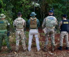 Operação Sinergia II termina com 12,4 toneladas de drogas apreendidas e 271 prisões